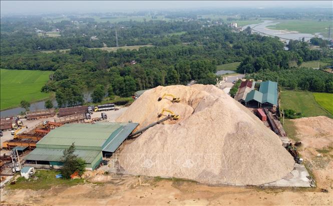A pellet producing factory in Gio Mai commune, Gio Linh district, the central province of Quang Tri. VNA Photo