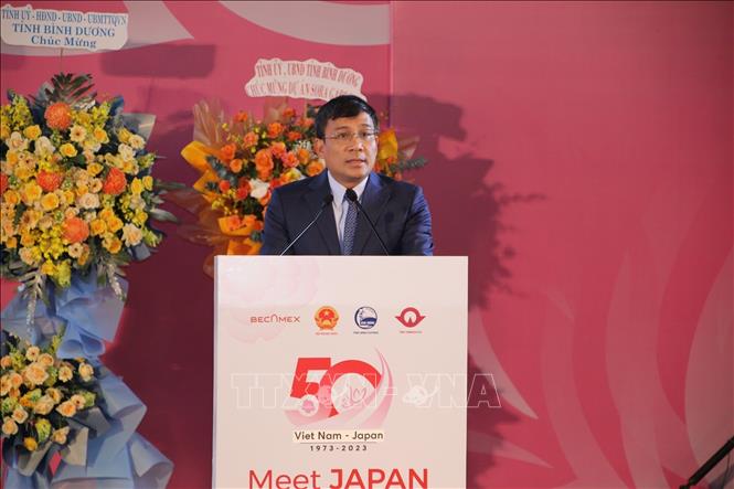 Permanent Deputy Foreign Minister Nguyen Minh Vu speaks at the programme. Photo by courtesy/VNA