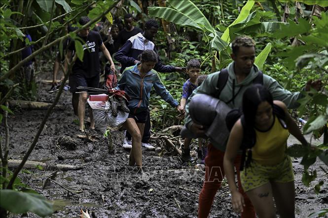 (tư liệu) Người di cư tới tỉnh Darien, Panama, để tìm cách qua khu vực rừng rậm Darien Gap trong hành trình tới Mỹ, ngày 12/10/2022. Ảnh: AFP/TTXVN