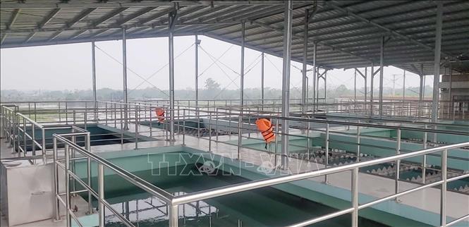 Khu bể lọc tại Nhà máy nước Sông Hồng. Ảnh: Hoàng Hùng -TTXVN
