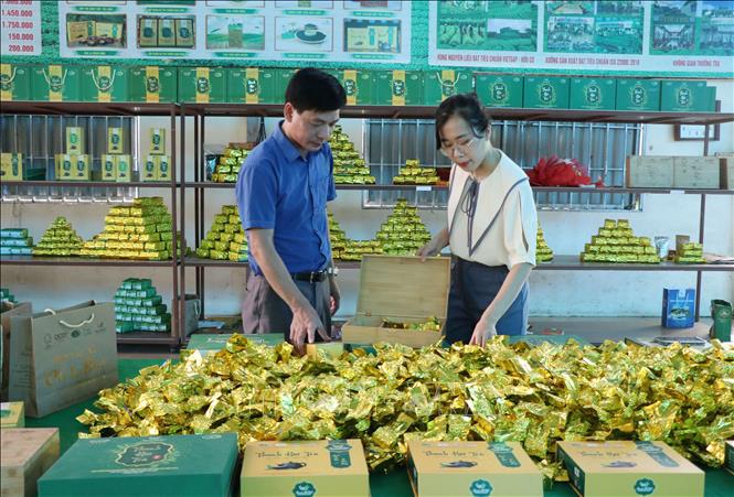 Organic tea products of the La Bang Tea Cooperative in La Bang commune, Dai Tu district are among the most popular brands. VNA Photo: Hoàng Nguyên