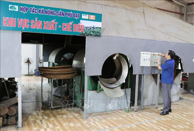 Applying advanced technologies in processing tea products at the Phu Dat Tea Cooperative in Son Phu commune, Dinh Hoa district. VNA Photo: Hoàng Nguyên