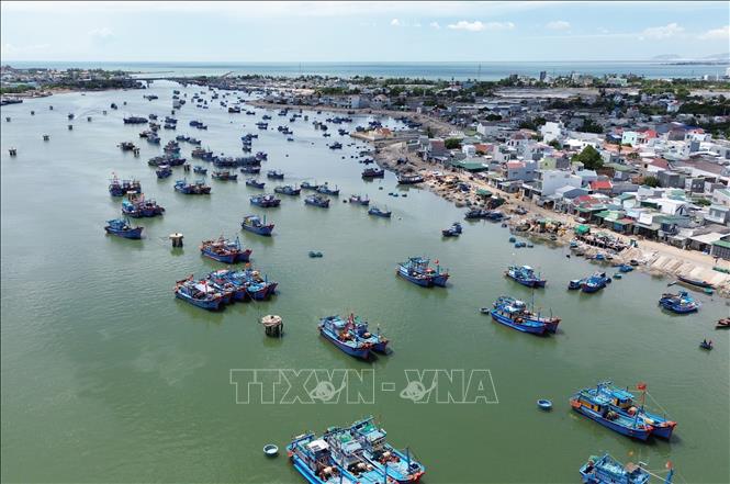 Tàu thuyền của ngư dân cập Đầm Nại để đưa hải sản lên chợ Nại bán buôn. Ảnh: Nguyễn Thành - TTXVN