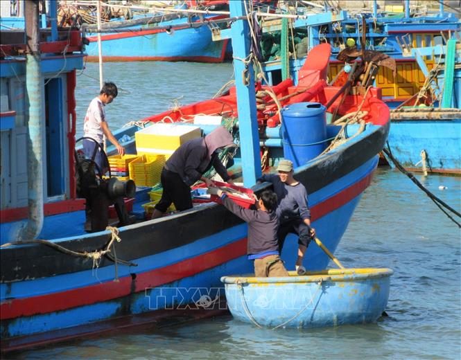 Ngư dân vận chuyển hải sản sau khai thác đưa lên bờ bán ở chợ Nại. Ảnh: TTXVN phát