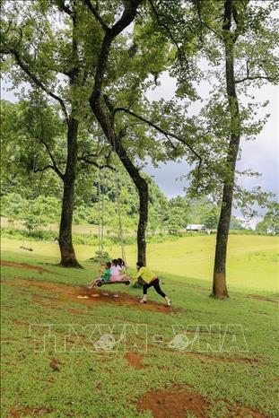 A family enjoy nature time under the tlau trees in Bai Bui meadow. VNA Photo: Trọng Đạt 