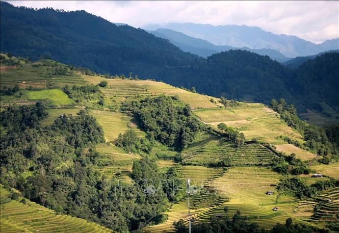 Du khách được tận mắt chứng kiến những cánh đồng ruộng bậc thang ngút ngàn, đẹp nên thơ. Ảnh: Nhật Anh - TTXVN
