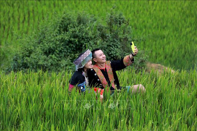 Mặc trang phục dân tộc, chụp ảnh với ruộng bậc thang là trải nghiệm không thể thiếu của du khách khi đến với Mù Cang Chải. Ảnh: Nhật Anh - TTXVN