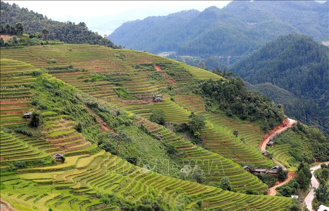 Từ những bàn tay lao động cần cù, ruộng bậc thang Mù Cang Chải đã trở thành kỳ quan, là danh thắng quốc gia cần được bảo tồn và phát triển. Ảnh: Nhật Anh - TTXVN
