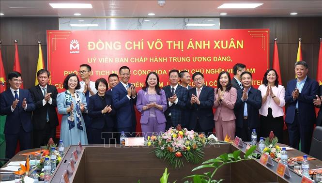Phó Chủ tịch nước Võ Thị Ánh Xuân gặp gỡ đại diện Tập đoàn Công nghiệp-Viễn thông Quân đội (Viettel) và Liên doanh viễn thông Movitel tại Maputo, CH Mozambique. Ảnh: Lâm Khánh – TTXVN