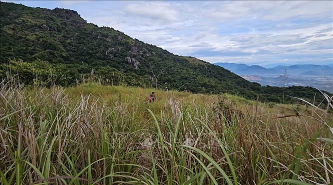 Quang cảnh núi Hoàng Ngưu Sơn ở Nha Trang, tỉnh Khánh Hòa. Ảnh: Phan Sáu - TTXVN