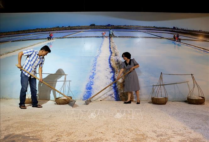 Visitors try becoming salt farmers on the field at the museum. VNA Photo: Hồng Đạt
