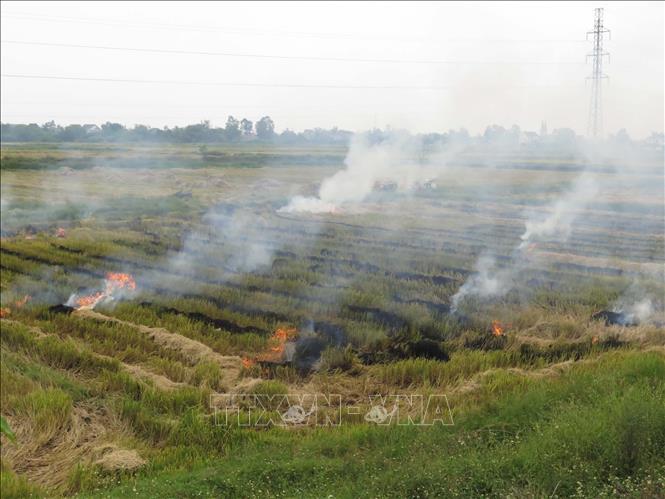 Nông dân xã Nghi Trung (Nghi Lộc, Nghệ An) đốt đồng sau khi thu hoạch lúa vụ hè thu năm 2023. Ảnh: Nguyễn Văn Nhật - TTXVN