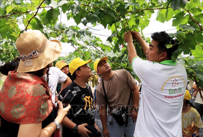 Khách du lịch tham quan mô hình du lịch nông nghiệp công nghệ cao trong Bình An Farm. Ảnh: Hồng Đạt - TTXVN
