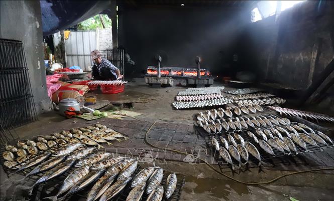 Một cơ sở nướng cá biển truyền thống tại xóm Quyết Thắng (xã Diễn Bích, huyện Diễn Châu, tỉnh Nghệ An). Ảnh: Xuân Tiến – TTXVN 