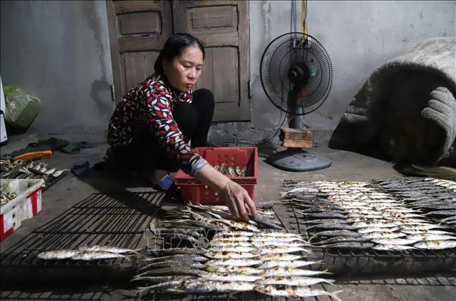 Công đoạn phân loại cá theo kích thước sau khi đã nướng chín, để nguội. Việc làm này sẽ giúp ích rất nhiều khi xếp cá vào các dụng cụ chứa đựng để cất giữ, bảo quản. Ảnh: Xuân Tiến – TTXVN