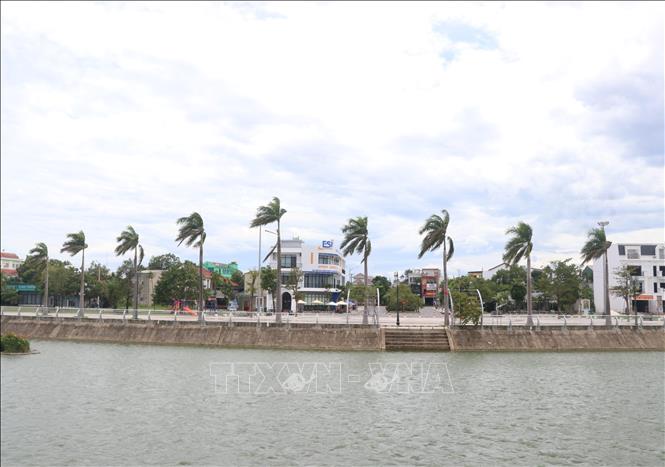9 cây cọ hoàng gia tượng trưng cho số tuổi 90 của lãnh tụ Cuba Fidel Castro được trồng tại Công viên Fidel ở thành phố Đông Hà (Quảng Trị). Ảnh: Nguyên Lý - TTXVN