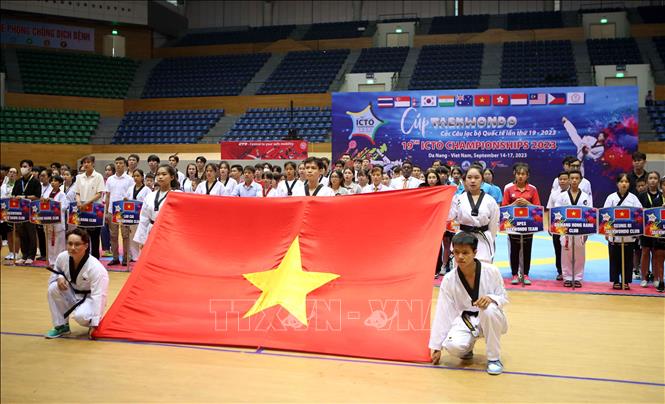 Nghi thức chào cờ của các vận động viên tại lễ khai mạc. Ảnh: Trần Lê Lâm - TTXVN
