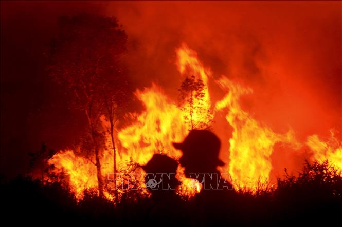 Cháy lớn tại vùng đất than bùn ở tỉnh Nam Sumatra, Indonesia ngày 14/9/2023. Ảnh: THX/TTXVN