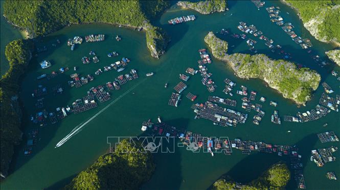An aerial view of blue-green Lan Ha bay in Cat Ba Archipelago. VNA Photo: Minh Đức