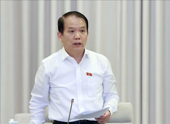 Chủ nhiệm Ủy ban Pháp luật của Quốc hội Hoàng Thanh Tùng phát biểu. Ảnh: Doãn Tấn - TTXVN