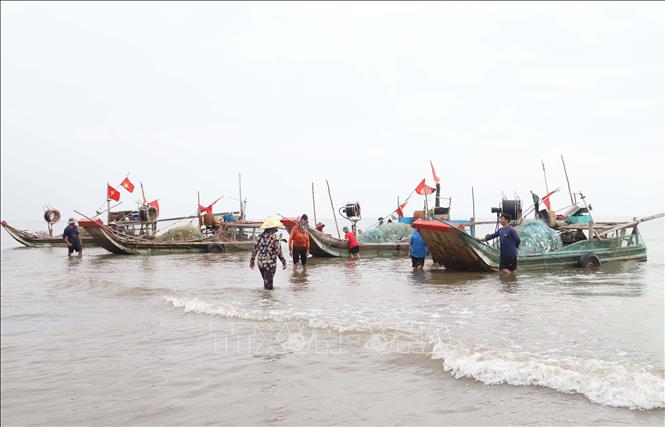 Bè mảng của ngư dân xã Diễn Kim (Diễn Châu, Nghệ An) cập bến sau một đêm khai thác cá trích. Ảnh: Xuân Tiến - TTXVN 