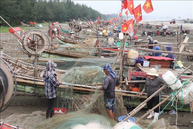 Ngư dân gỡ cá trích trên bãi biển xã Diễn Kim (Diễn Châu, tNghệ An). Ảnh: Xuân Tiến - TTXVN 