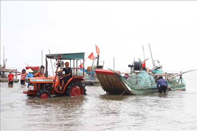 Kéo bè mảng chở đầy cá trích lên bờ. Ảnh: Xuân Tiến - TTXVN

