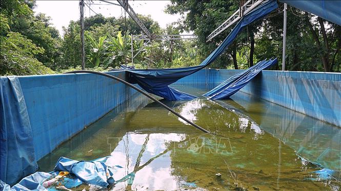 Bể bơi tại trường Tiểu học Anh Hùng Núp, xã Ia Hrú, huyện Chư Pưh (Gia Lai) bị hư hỏng, không thể sử dụng. Ảnh: Hoài Nam - TTXVN