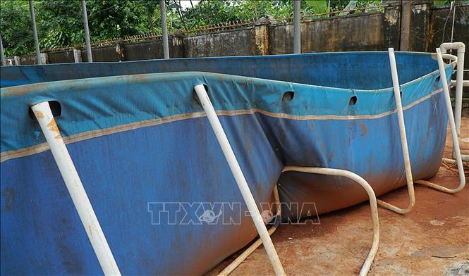 Bể bơi tại trường Tiểu học Nguyễn Viết Xuân, thị trấn Nhơn Hoà, huyện Chư Pưh (Gia Lai) bị hư hỏng, xuống cấp. Ảnh: Hoài Nam - TTXVN