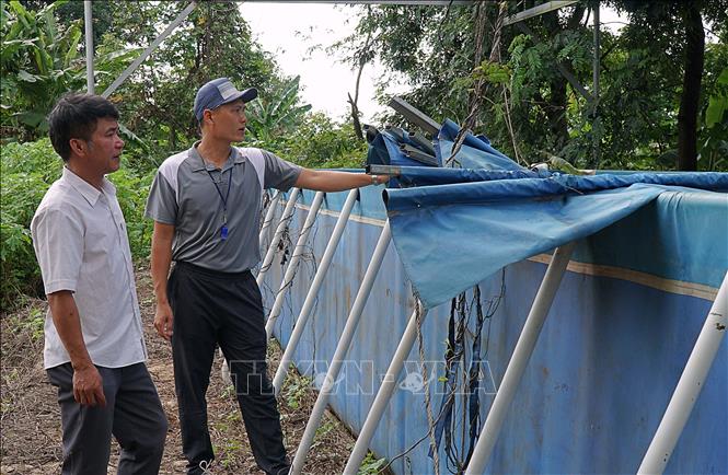 Bể bơi tại trường Tiểu học Anh Hùng Núp, xã Ia Hrú, huyện Chư Pưh (Gia Lai) hư hỏng, không thể sử dụng. Ảnh: Hoài Nam - TTXVN