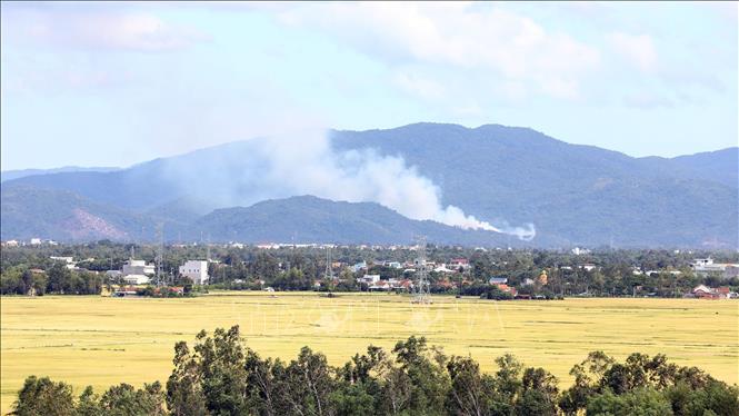 Những cánh đồng bát ngát vùng ven thành phố Tuy Hòa. Ảnh: Huy Hùng - TTXVN