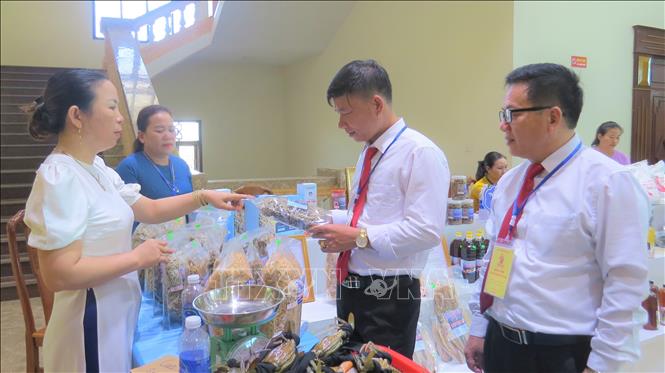 Các gian hàng trưng bày, giới thiệu sản phẩm OCOP, sản phẩm nông nghiệp tiêu biểu của tỉnh. Ảnh: Võ Dung - TTXVN