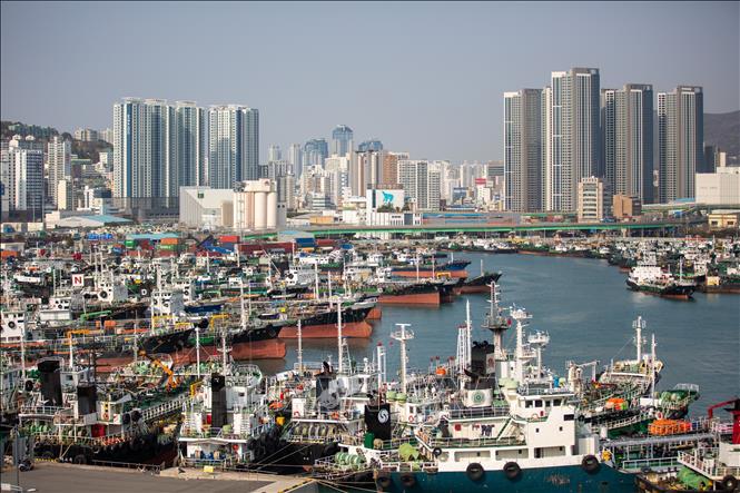 Quang cảnh cảng Busan, Hàn Quốc. Ảnh: THX/TTXVN