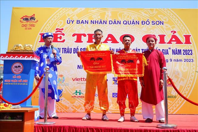 Trao giải tại Lễ hội chọi Trâu Đồ Sơn năm 2023. Ảnh: TTXVN phát