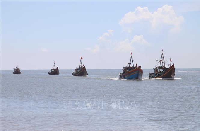 Tàu, thuyền của ngư dân Diễn Châu (tỉnh Nghệ An) trên đường vào đất liền, hướng về cửa biển Lạch Vạn. Ảnh: Xuân Tiến - TTXVN 