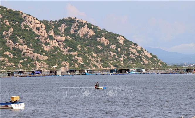 The fish cage farming model is developed in Ninh Hai district, the south central coastal province of Ninh Thuan. VNA Photo: Công Thử 