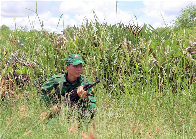Chiến sĩ Đồn Biên phòng cửa khẩu Giang Thành tuần tra, bảo vệ đường biên, cột mốc trên tuyến biên giới tiếp giáp Campuchia. Ảnh: Lê Huy Hải - TTXVN