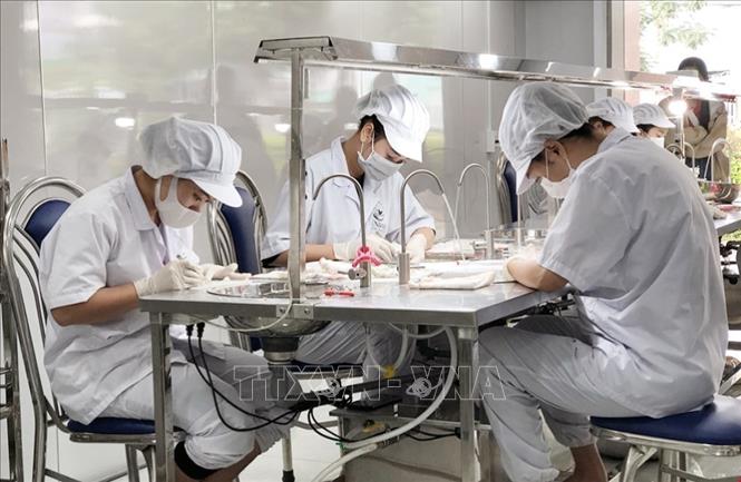 Công nhân chế biến sản phẩm yến tại công ty và cơ sở sản xuất Yến Đảo Cần Giờ, huyện Cần Giờ, Thành phố Hồ Chí Minh. Ảnh: Mỹ Phương - TTXVN