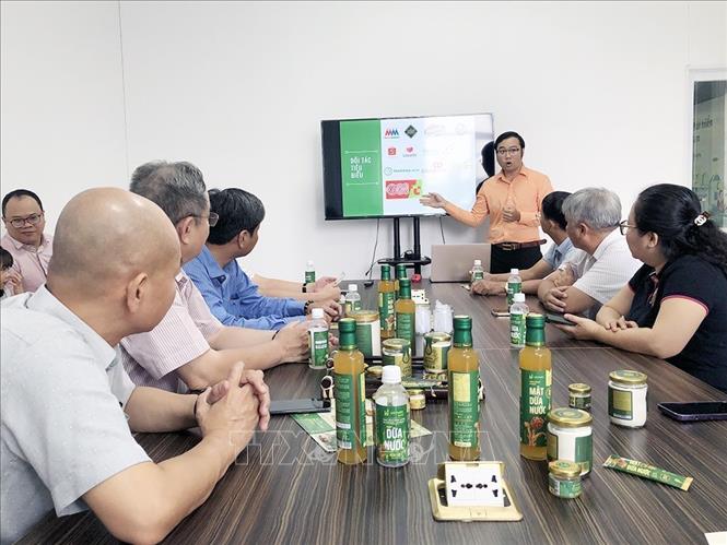 Đoàn khảo sát làm việc tại Công ty Cổ phần Dừa nước Việt Nam (VIETNIPA), huyện Cần Giờ, Thành phố Hồ Chí Minh. Ảnh: Mỹ Phương - TTXVN