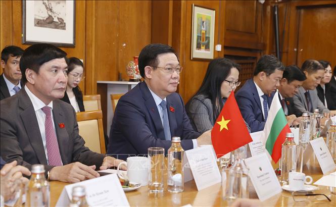 NA Chairman Vuong Dinh Hue at the meeting. VNA Photo: Doãn Tấn
