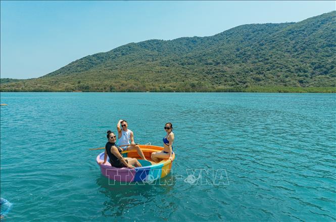 Tourists experience coracle boat tours of mangrove forests at the Dam Bay (Bay Lagoon) in Nha Trang Bay, the central province of Khanh Hoa. VNA Photo: Phan Sáu