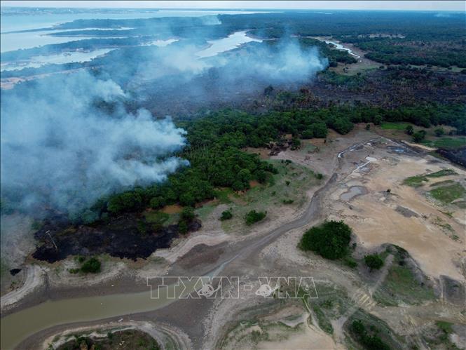 Khói bốc lên từ đám cháy tại rừng Amazon ở bang Amazonas, miền Bắc Brazil ngày 23/9/2023. Ảnh: AFP/TTXVN