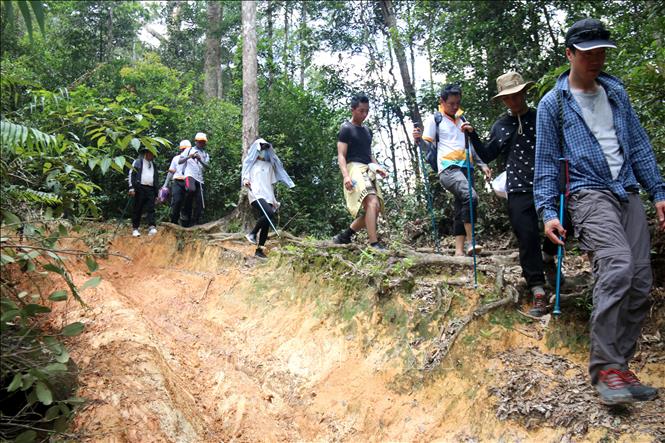 Cung đường trekking mạo hiểm với nhiều độ khó thu hút giới trẻ khám phá. Ảnh: Nguyễn Thanh - TTXVN