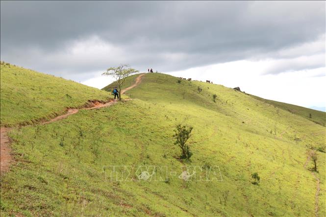 Cung đường trekking mạo hiểm tuyệt đẹp với nhiều độ khó thu hút giới trẻ khám phá. Ảnh: Nguyễn Thanh - TTXVN
