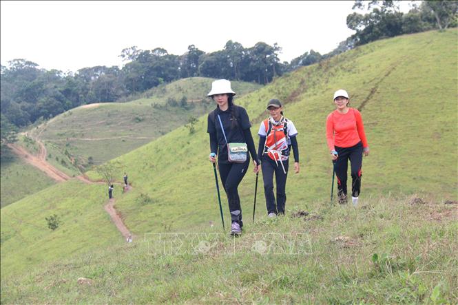 Cung đườn trekking mạo hiểm tuyệt đẹp với nhiều độ khó thu hút đông đảo giới trẻ khám phá. Ảnh: Nguyễn Thanh - TTXVN