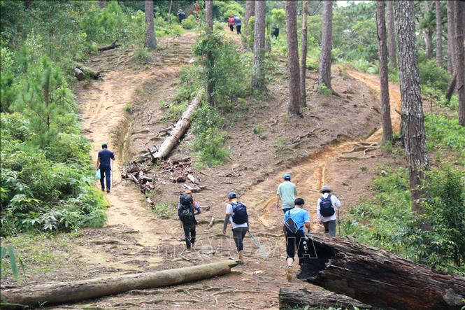 Cung đường trekking Tà Năng - Phan Dũng di chuyển qua nhiều đèo dốc đòi hỏi có sức khỏe dẻo dai để chinh phục. Ảnh: Nguyễn Thanh - TTXVN