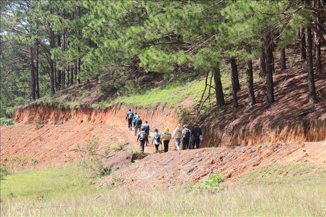 Cung đường trekking Tà Năng - Phan Dũng mạo với nhiều độ khó và nhiều cảnh đẹp thu hút đông đảo giới trẻ khám phá. Ảnh: Nguyễn Thanh - TTXVN
