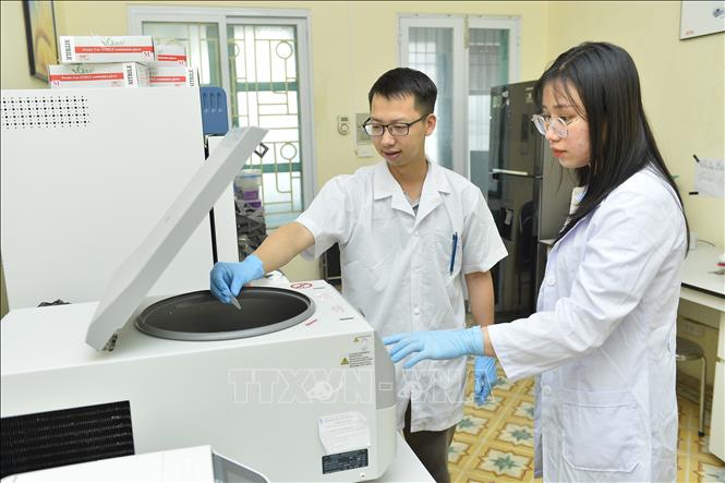 Tiến sĩ Ngô Ngọc Hải thực hiện phân tích mẫu nghiên cứu về đa dạng nguồn gen. Ảnh: Minh Đức – TTXVN