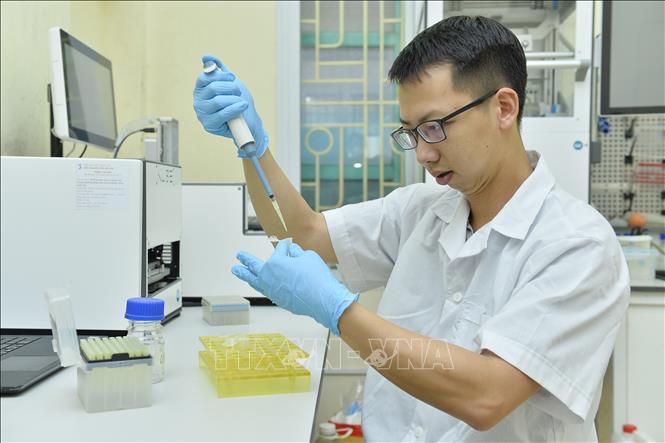 Tiến sĩ Ngô Ngọc Hải thực hiện phân tích mẫu nghiên cứu về đa dạng nguồn gen. Ảnh: Minh Đức – TTXVN