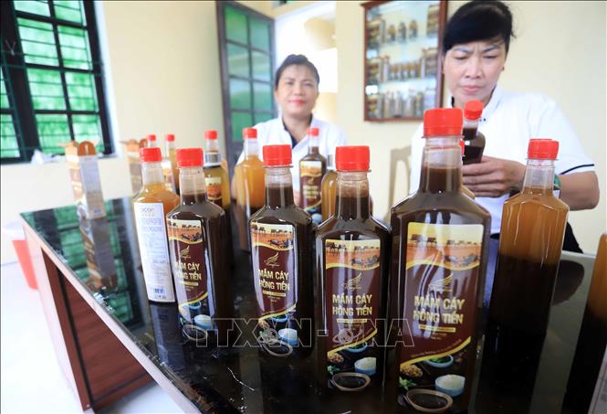 Hong Tien's Mam cay is recognized as a 4-star quality OCOP product in Thai Binh province. VNA Photo: Thế Duyệt